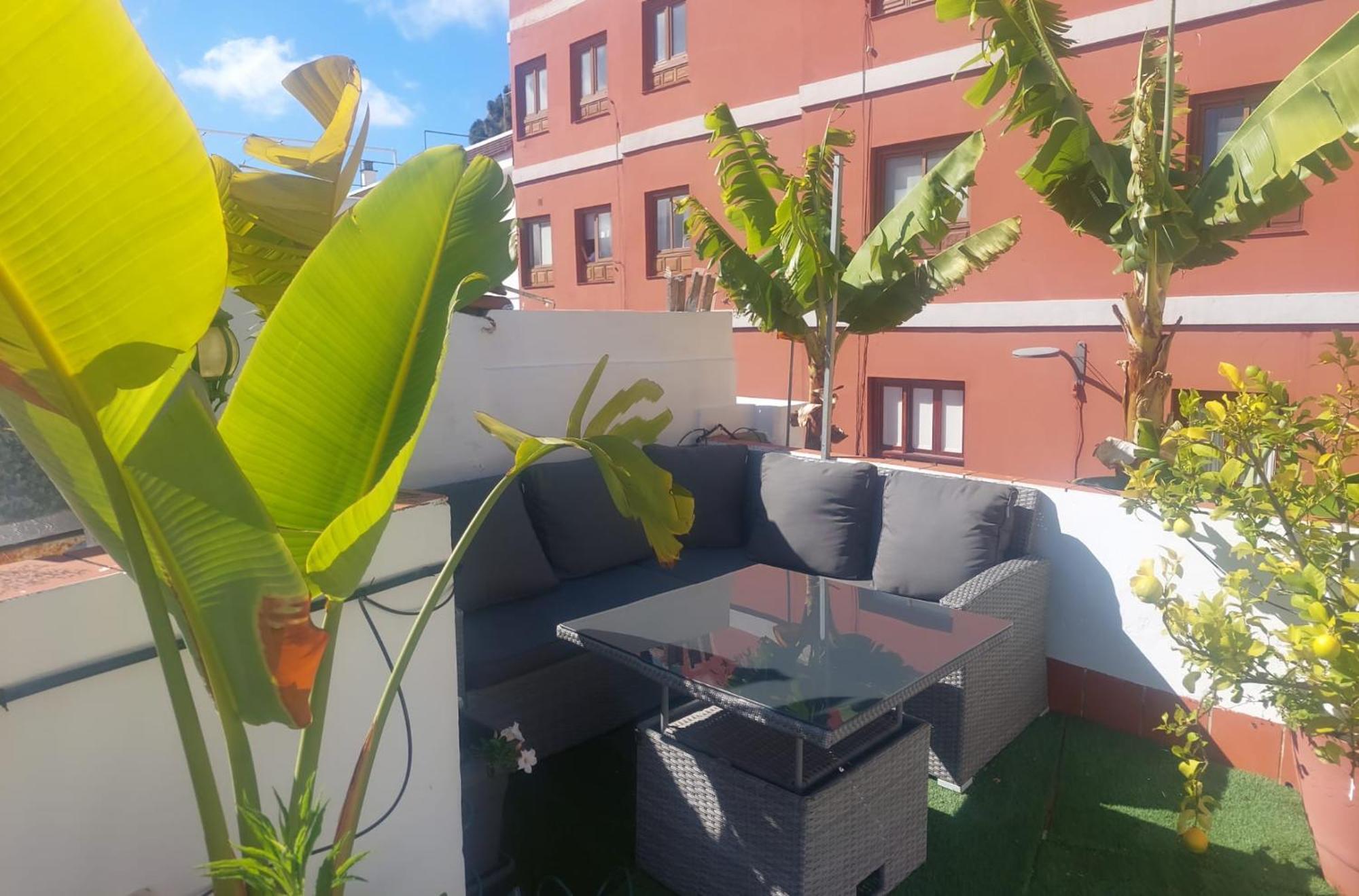 Апартаменти Agradable Casa Con Terraza Сан-Крістобаль-де-ла-Лагуна Екстер'єр фото